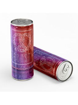 BRETZEL BOOST 25CL - CASSIS...